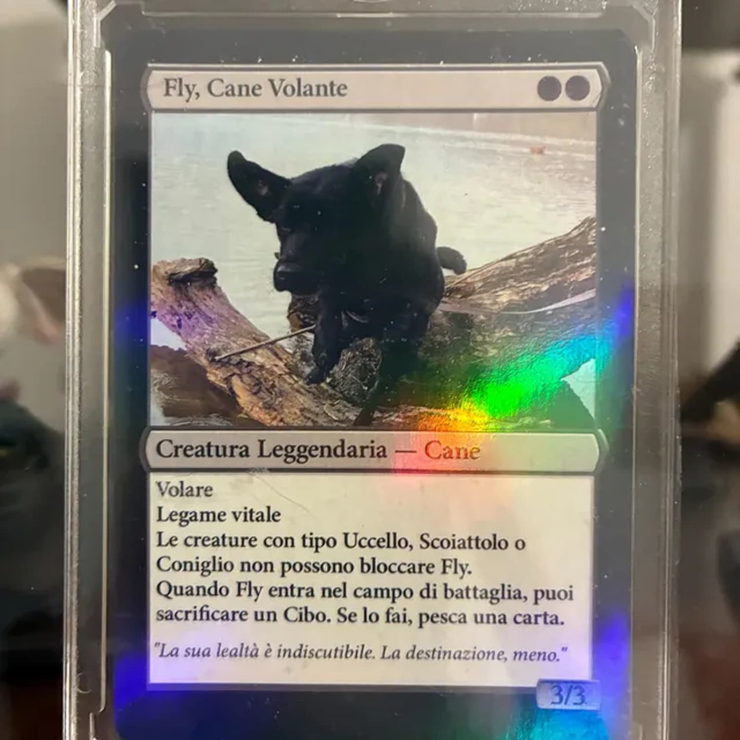Customer photo placeholder for cards on a playmat